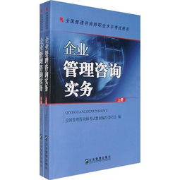 《企業(yè)管理咨詢實(shí)務(wù)》——全國管理咨詢師職業(yè)水平考試的權(quán)威指南